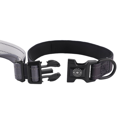 Gray Snazzy Pooch dog collar with black clasp.