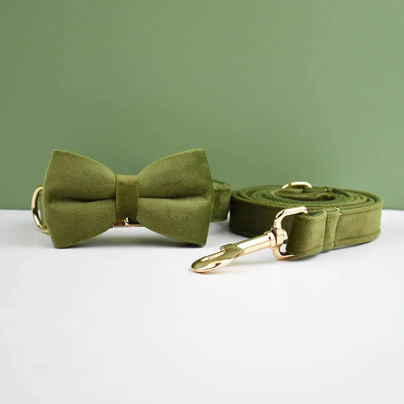 Velvet Envy Collection – Personalised Dog Collars in Elegant Green Tones Options (Personalised)