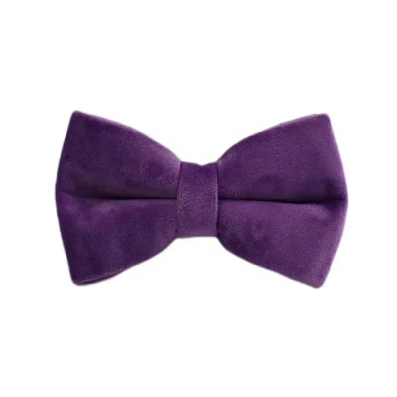 Purple velvet dog collar with engravable luxury pet accessory design.