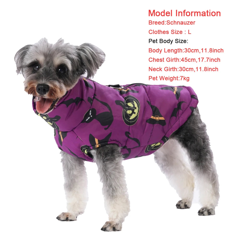 Dog wearing a purple Halloween-themed coat on a white background