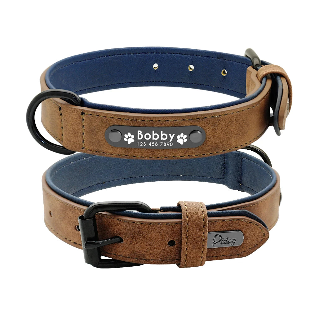 Faux Leather Dog Collar with Engraved Nameplate – Optional Lead