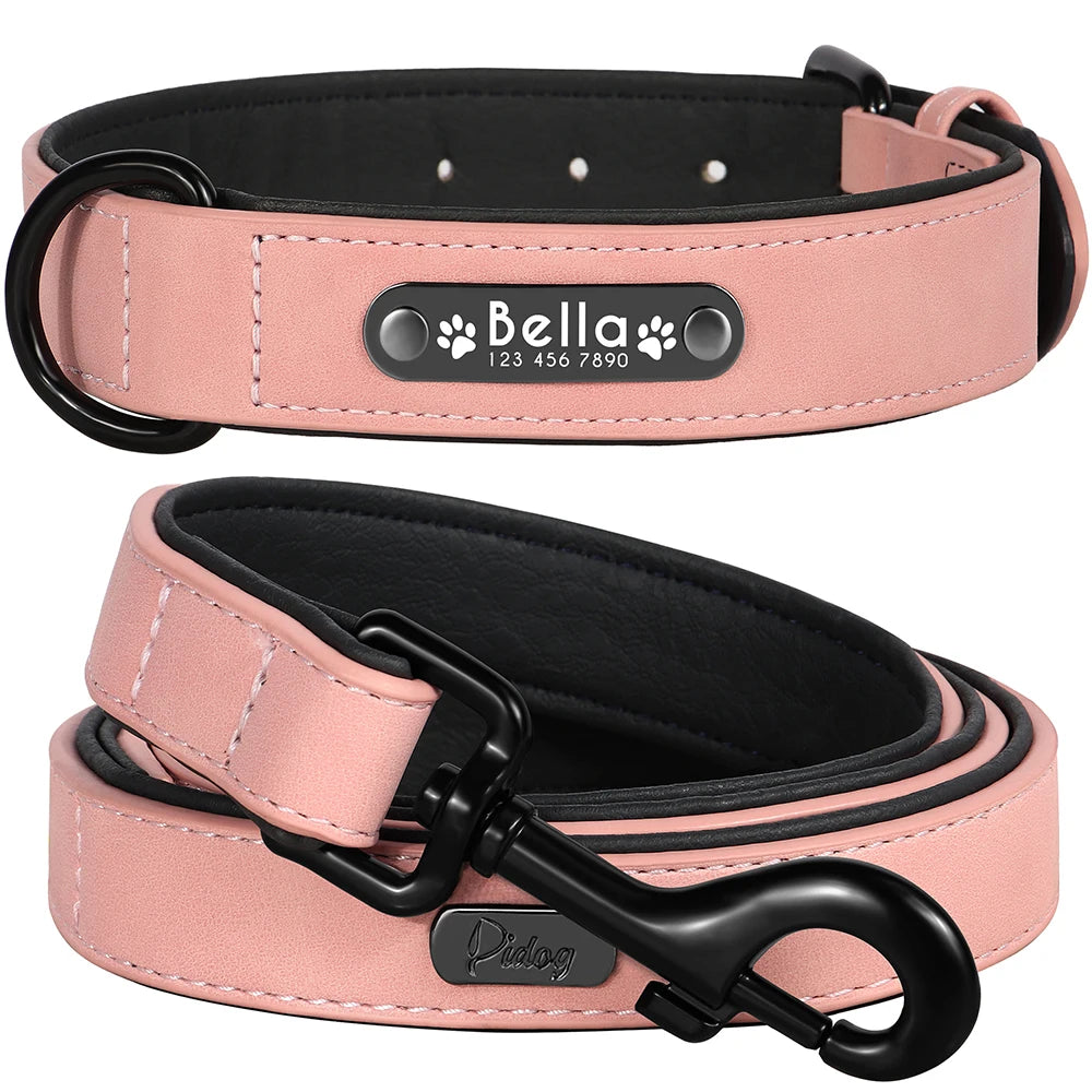 Faux Leather Dog Collar with Engraved Nameplate – Optional Lead