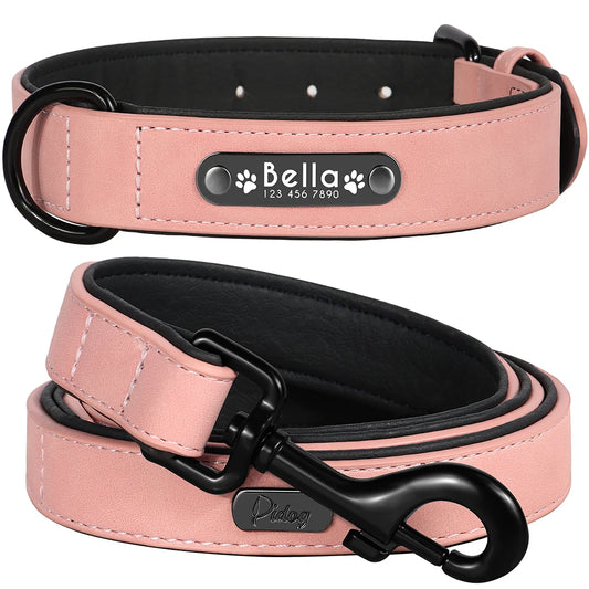 Faux Leather Dog Collar with Engraved Nameplate – Optional Lead