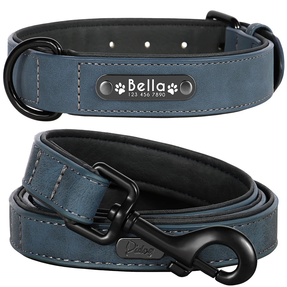 Faux Leather Dog Collar with Engraved Nameplate – Optional Lead