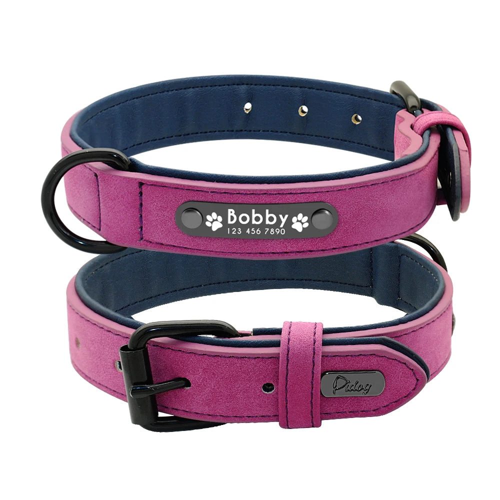 Faux Leather Dog Collar with Engraved Nameplate – Optional Lead