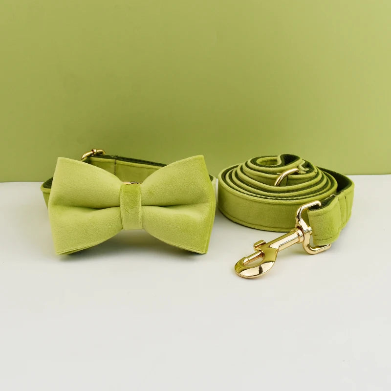 Velvet Envy Collection – Personalised Dog Collars in Elegant Green Tones Options (Personalised)