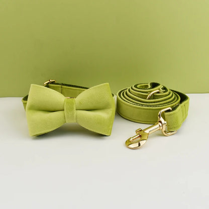 Velvet Envy Collection – Personalised Dog Collars in Elegant Green Tones Options (Personalised)