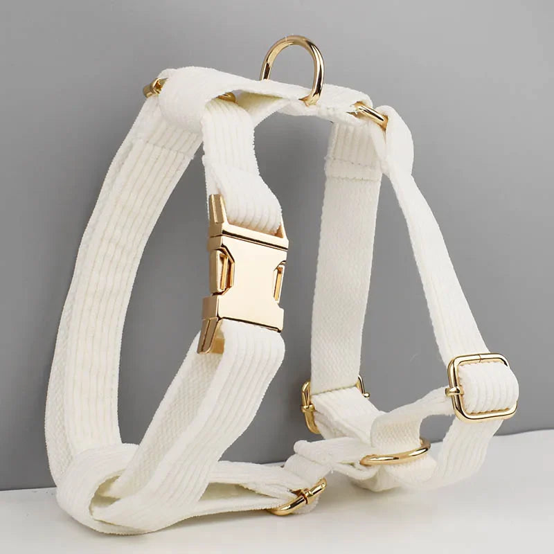 White corduroy dog collar with gold hardware, luxury pet accessory.