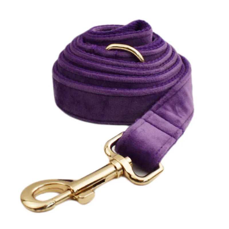 Purple velvet dog collar with engravable luxury design.
