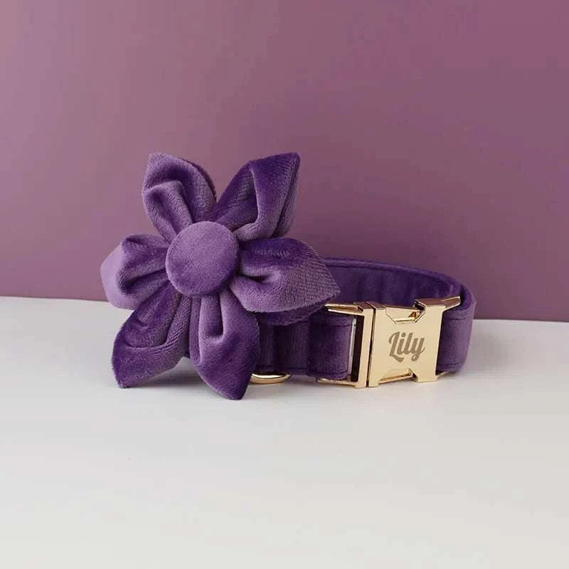 Purple velvet dog collar with detachable bow tie and engravable gold buckle, luxury pet accessory.