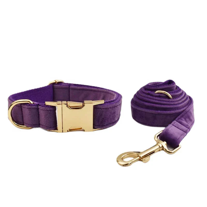 Luxury purple velvet dog collar and leash set, engravable personalized pet accessory.