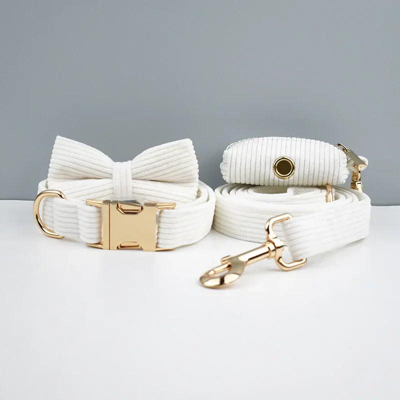 White corduroy dog collar with bowtie, harness, and lead set featuring gold hardware. Luxurious pet accessory.