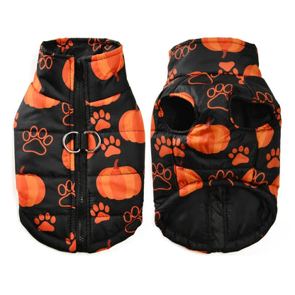Black pet coat with orange pumpkin and paw print patterns on a white background