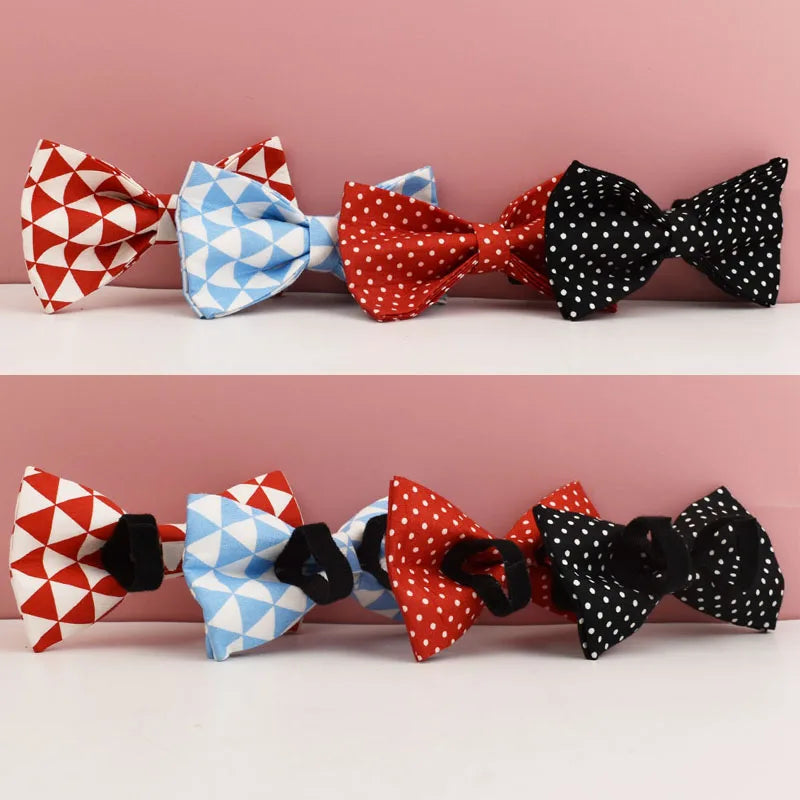 personalised dog collar - the retro paws collection