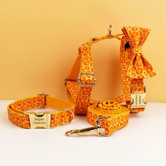 Pumpkin Patch Dog Collar & Harness Set – Premium Engraved 4-Piece Bundle or Individual Options  (XS–XL)