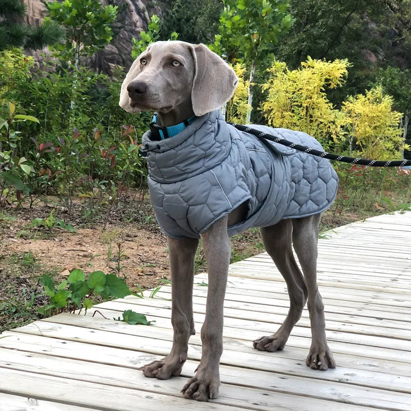 Warm and waterproof dog coat with reflective strips, adjustable fit, and hexagon quilted pattern for medium and large dogs.