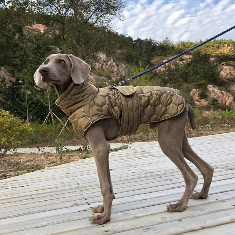 Warm and waterproof dog coat with reflective strips, adjustable fit, and quilted pattern, perfect for medium and large breeds during chilly days.