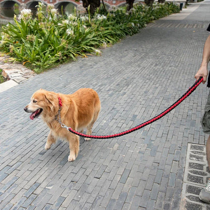 Heavy-Duty Braided Rope Dog Lead (S–XL, up to 60 kg)