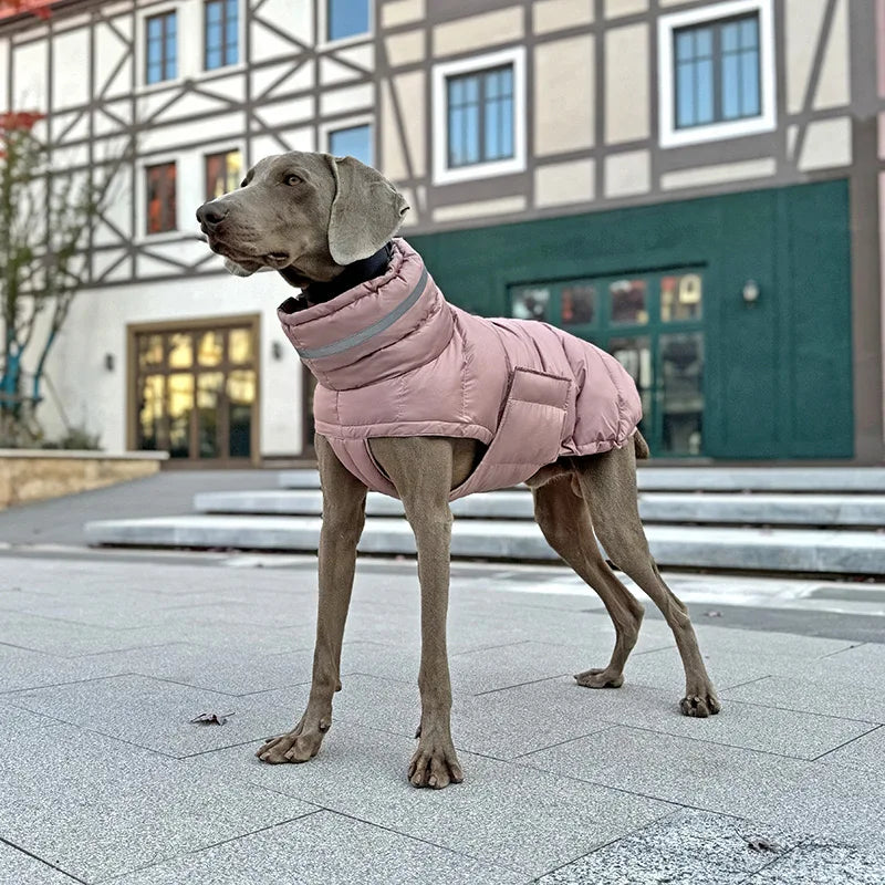 Waterproof and insulated dog coat in pink, providing warmth and style.