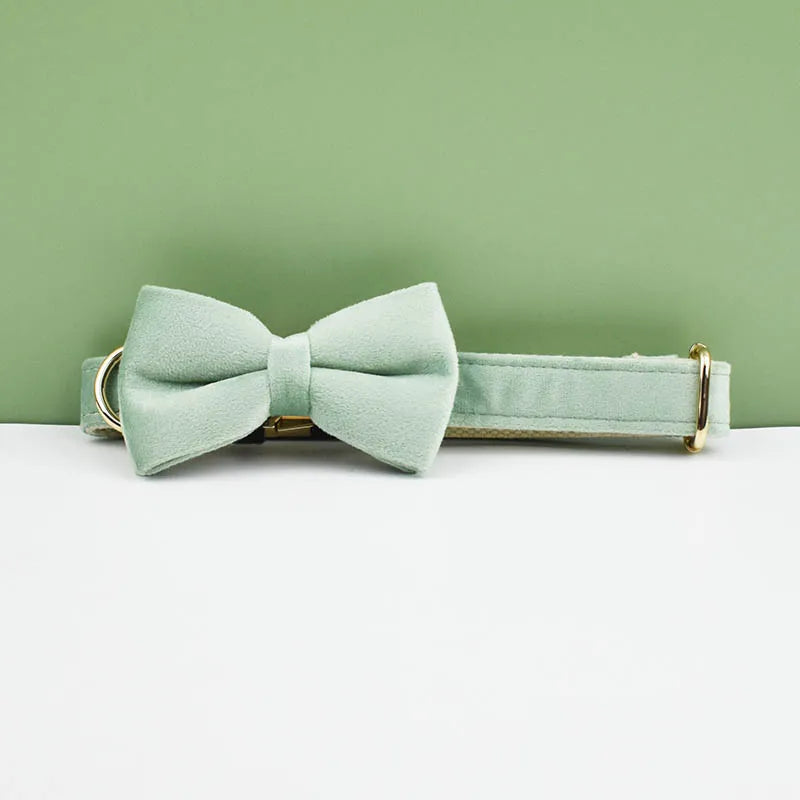 Velvet Envy Collection – Personalised Dog Collars in Elegant Green Tones Options (Personalised)