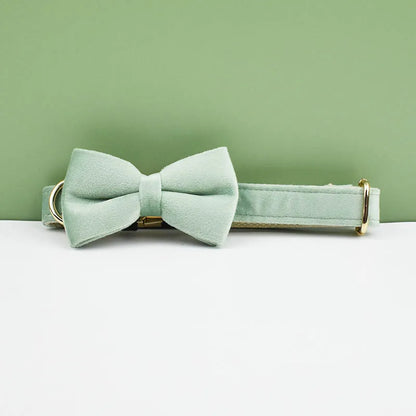 Velvet Envy Collection – Personalised Dog Collars in Elegant Green Tones Options (Personalised)