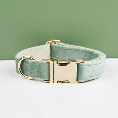 Velvet Envy Collection – Personalised Dog Collars in Elegant Green Tones Options (Personalised)