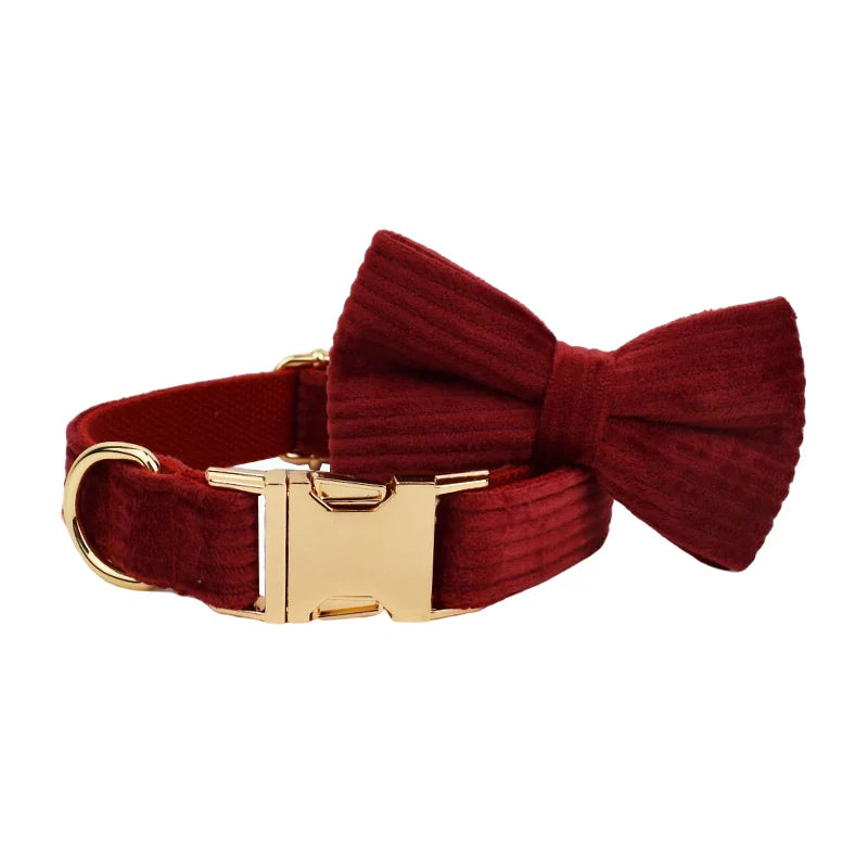 Luxurious handmade red corduroy pet collar with gold hardware and bowtie.
