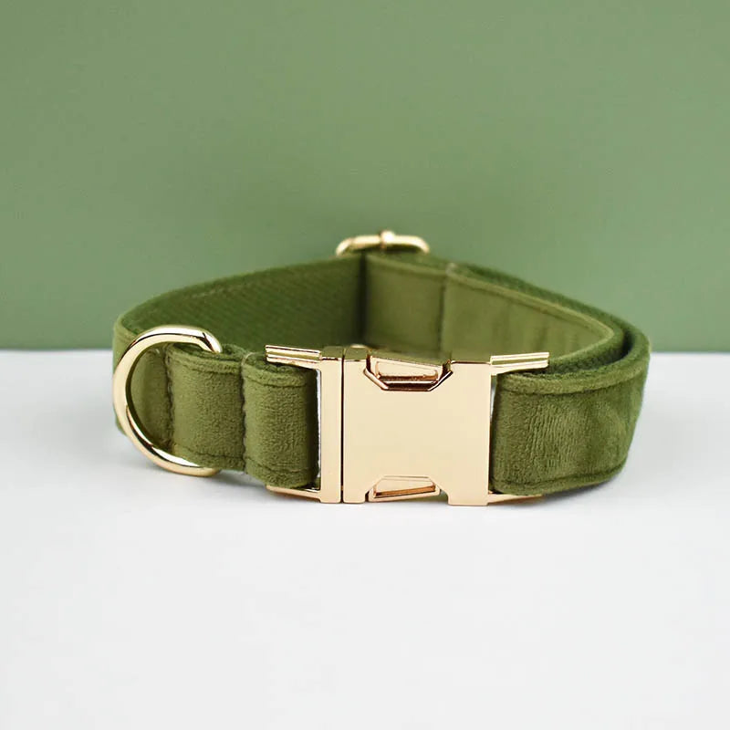 Velvet Envy Collection – Personalised Dog Collars in Elegant Green Tones Options (Personalised)