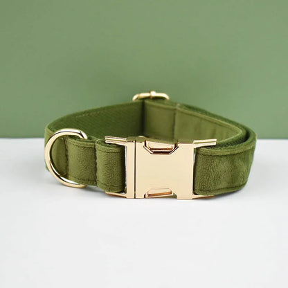 Velvet Envy Collection – Personalised Dog Collars in Elegant Green Tones Options (Personalised)