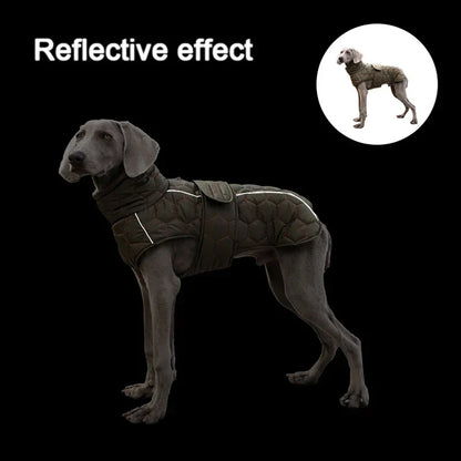 Warm waterproof dog coat with reflective strips, hexagon quilted pattern, and adjustable fit for medium and large breeds.