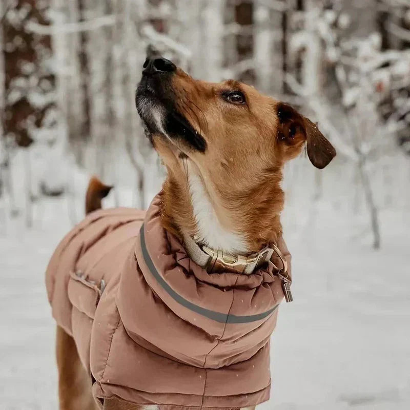 Waterproof and windproof dog coat providing warmth and comfort in snowy weather.