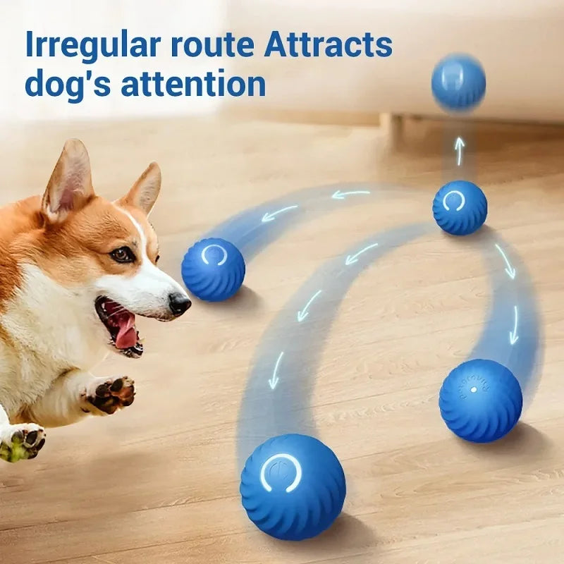 Interactive Rechargeable Dog Ball – Vibrating Motion Toy