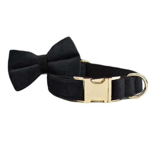 Black velvet dog collar with gold buckle and detachable bowtie, part of the "Wedding Tails" Velvet Fabric Collection for elegant pet weddings.