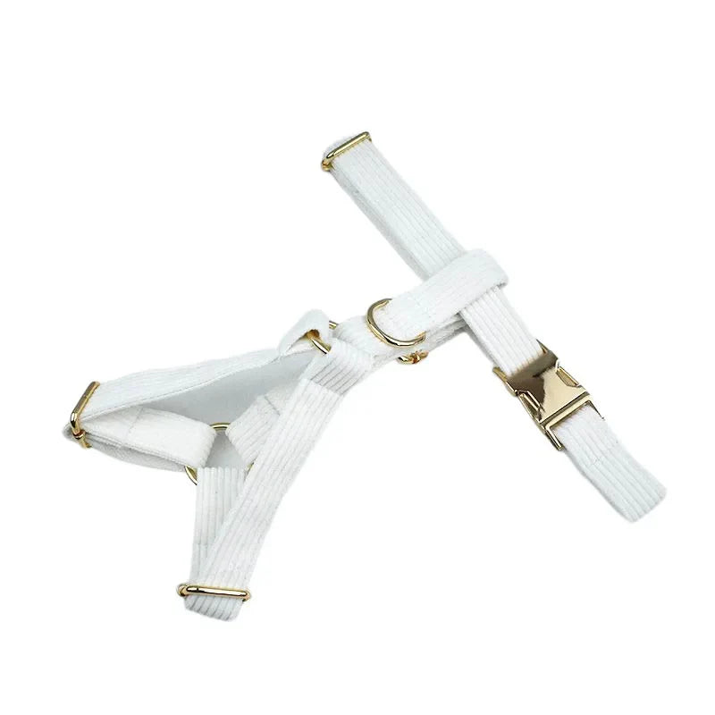 White corduroy dog collar with gold metal hardware, featuring adjustable straps for comfort.