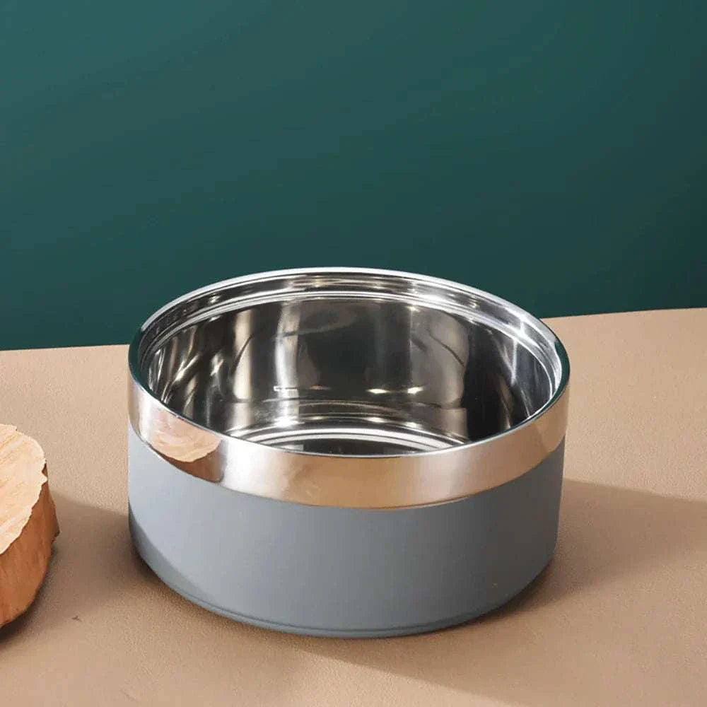 grey dog bowl