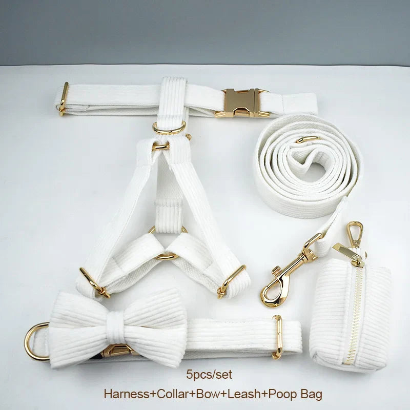 White corduroy dog collar, harness, and accessories set with gold hardware.