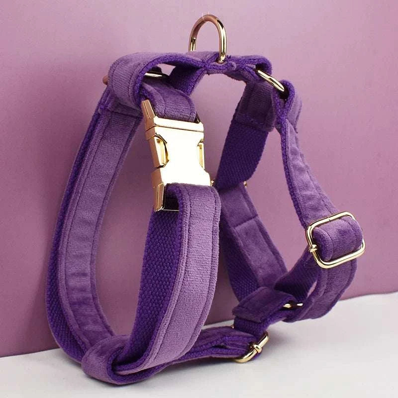 Purple velvet dog collar with engravable buckle, luxury pet accessory.