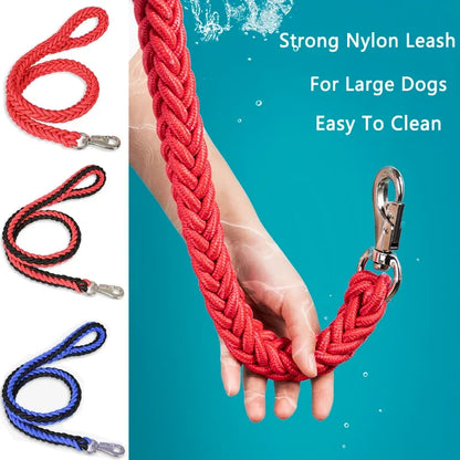 Heavy-Duty Braided Rope Dog Lead (S–XL, up to 60 kg)