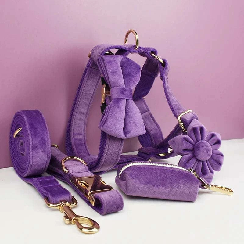Purple velvet dog collar and accessories set with engravable options and detachable bow tie.