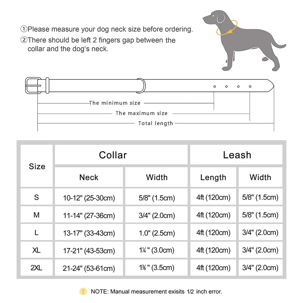 Faux Leather Dog Collar with Engraved Nameplate – Optional Lead