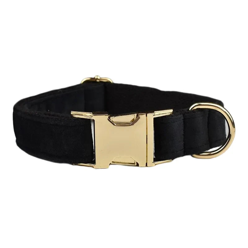 Elegant black velvet dog collar with gold-tone hardware from "Wedding Tails" Velvet Fabric Collection.