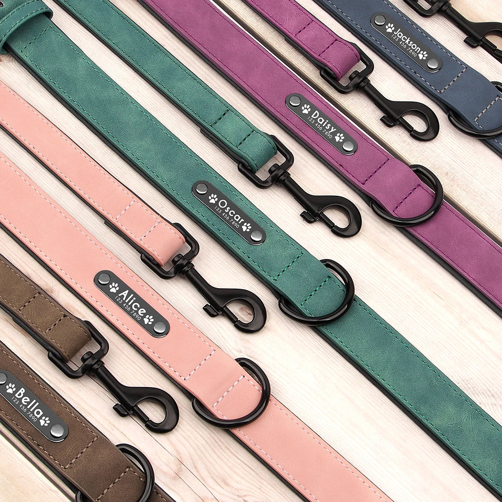Faux Leather Dog Collar with Engraved Nameplate – Optional Lead