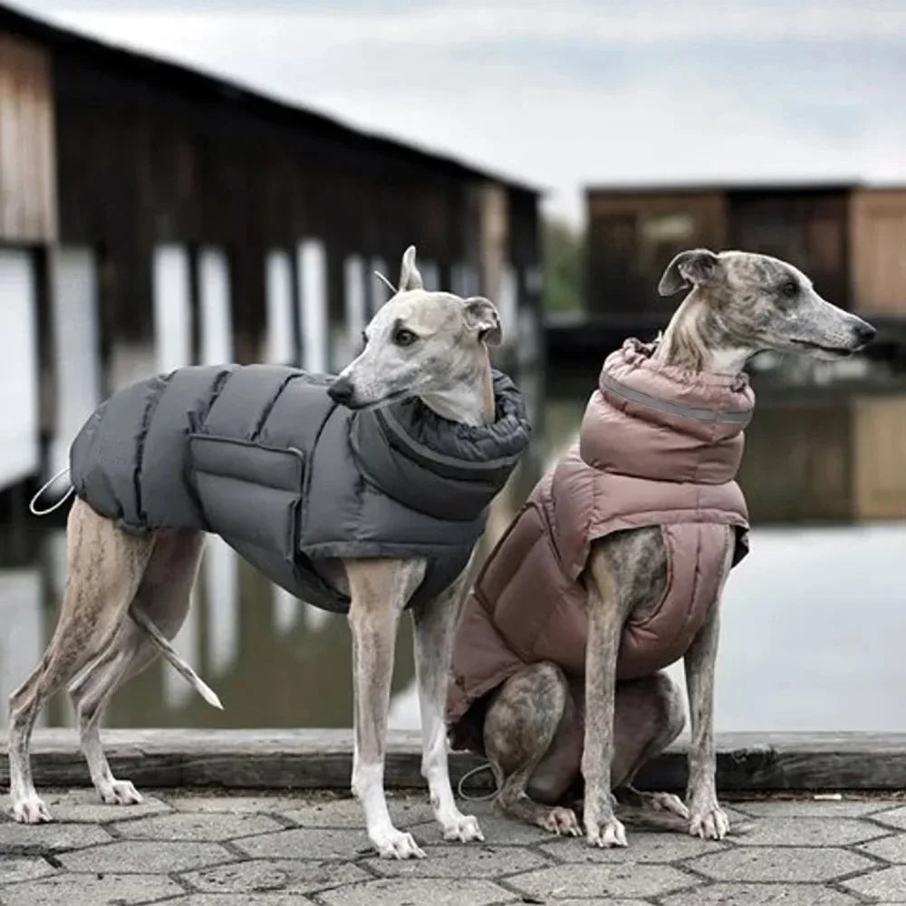 Snug & Dry Waterproof dog coat on greyhounds by a lakeside, windproof and insulated for winter warmth.