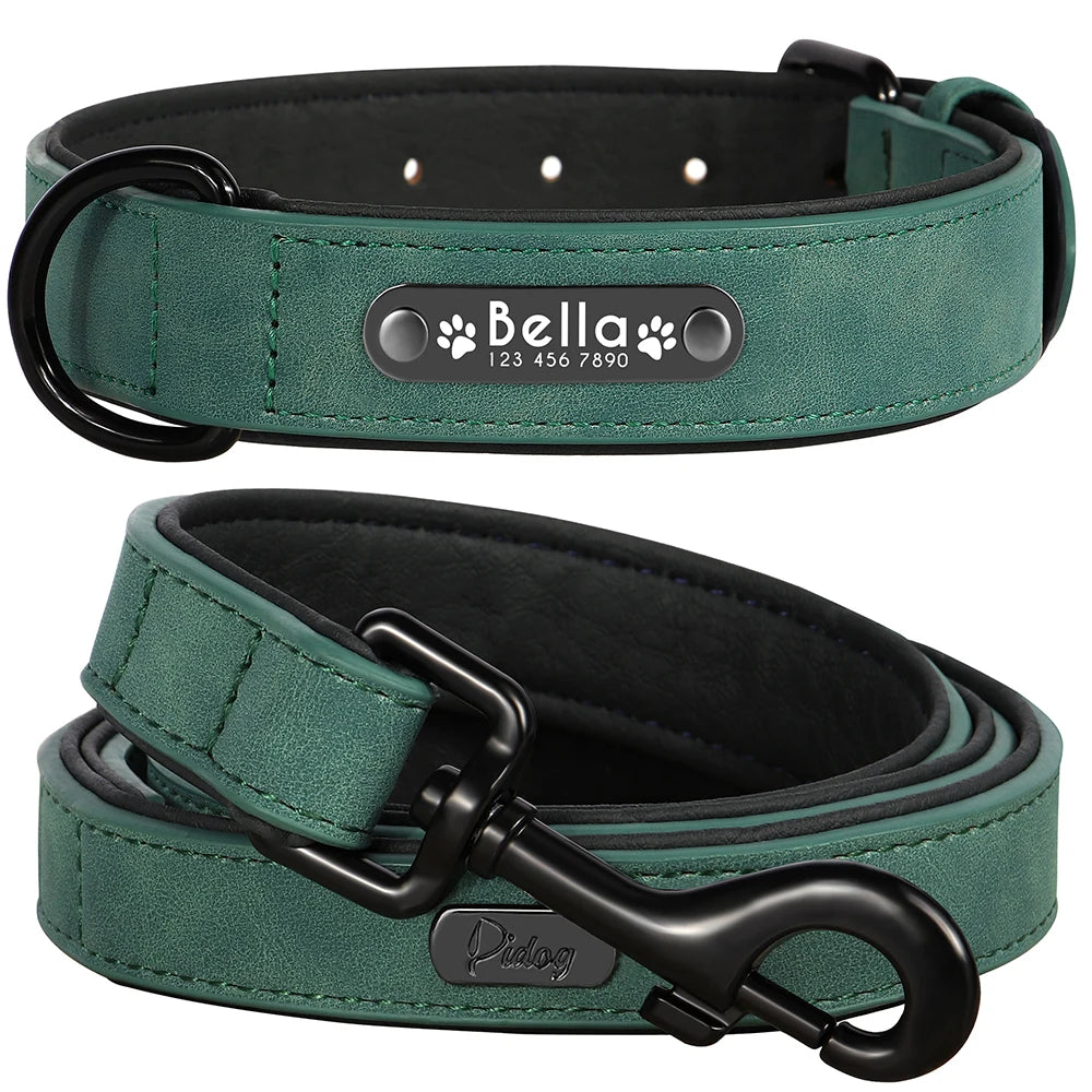Faux Leather Dog Collar with Engraved Nameplate – Optional Lead