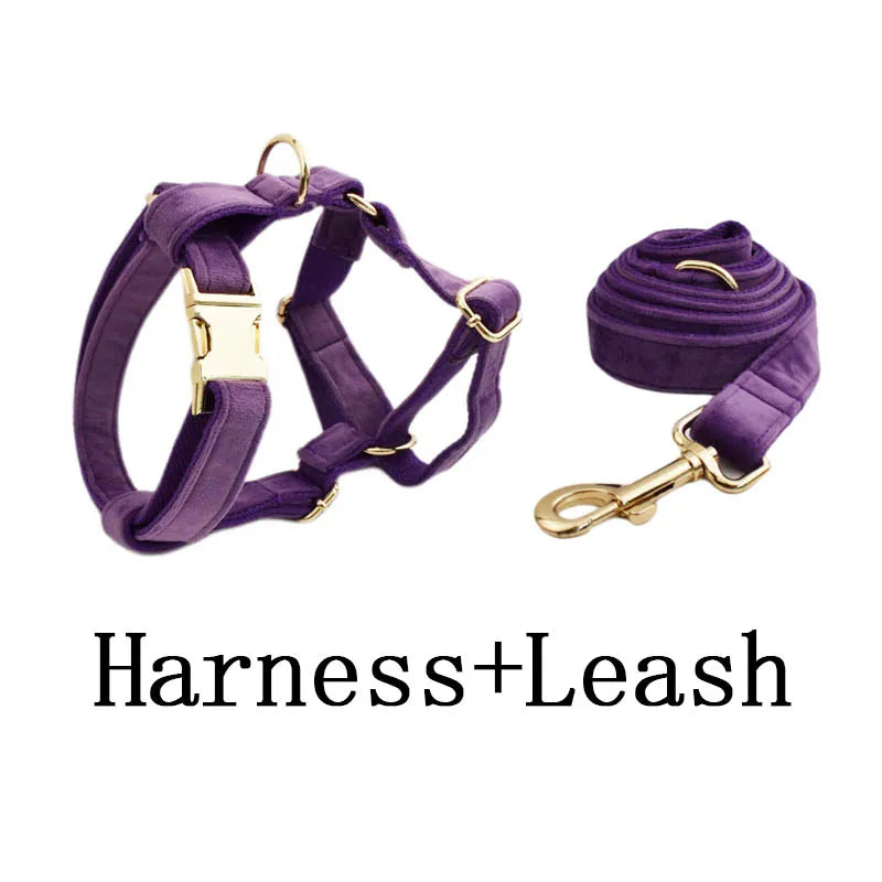 Luxury purple velvet dog collar and leash set, engravable for personalized pet accessories.