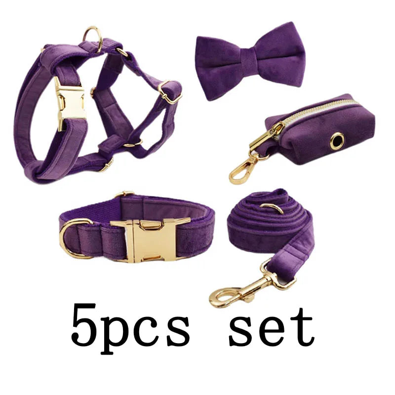 Luxury purple velvet dog collar, leash, and accessories set with engravable nameplate.