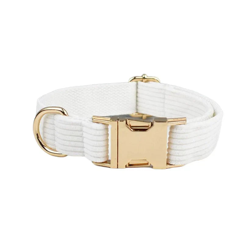 White corduroy dog collar with gold metal buckle and D-ring, luxurious pet accessory.