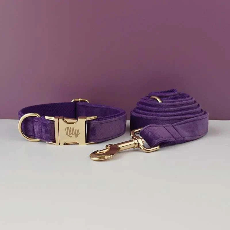 Purple velvet dog collar and leash set with engravable gold hardware featuring a customizable design for pets.