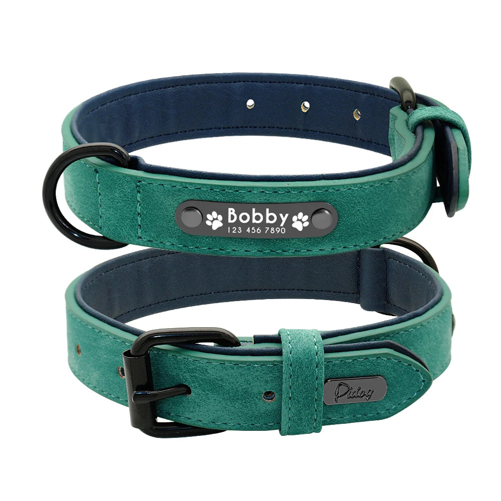 Faux Leather Dog Collar with Engraved Nameplate – Optional Lead