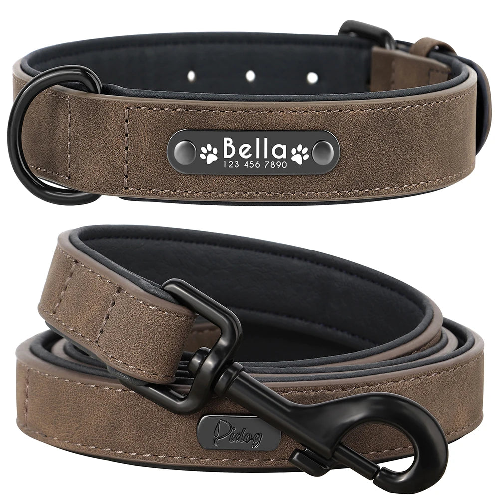 Faux Leather Dog Collar with Engraved Nameplate – Optional Lead